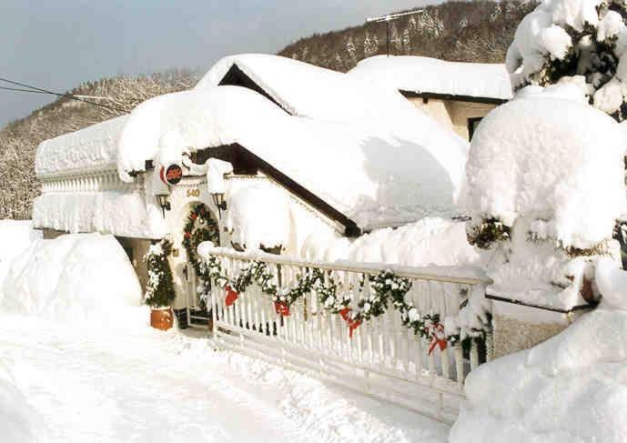 Penzion Ok Svoboda nad Upou Bagian luar foto