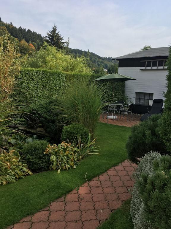 Penzion Ok Svoboda nad Upou Bagian luar foto